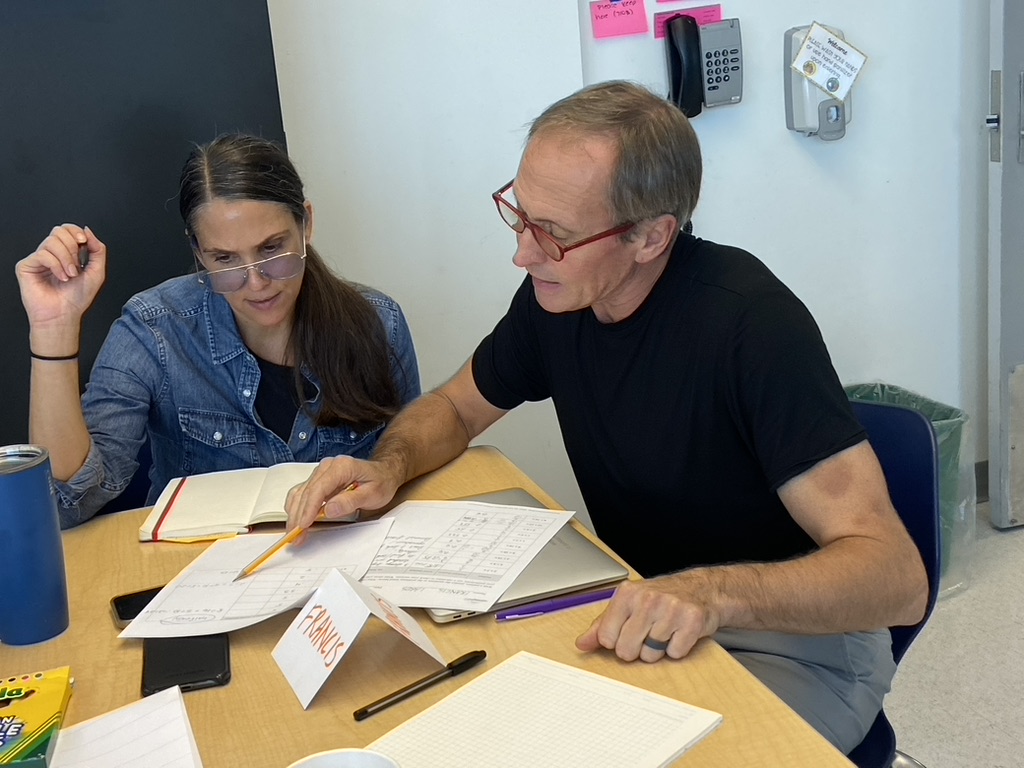 Teachers_PartnersAnalyzingWork